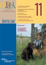 Número 11
